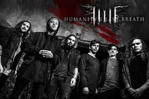 Betraying the Martyrs