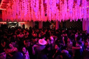 Banda World - Live Banda X Perreo Party 18+