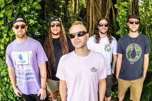 The Movement and Tribal Seeds - Coast 2 Coast Summer Tour with Mike Lo