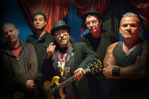 The Dickies, Just Because, Curbside Anthem, Raised by Rats, Apollo 03, Generational Trauma, Sex Motel, Mustard Grass