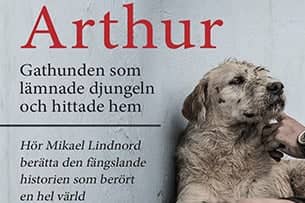 Arthur - Gatuhunden som lamnade djungeln och hittade hem