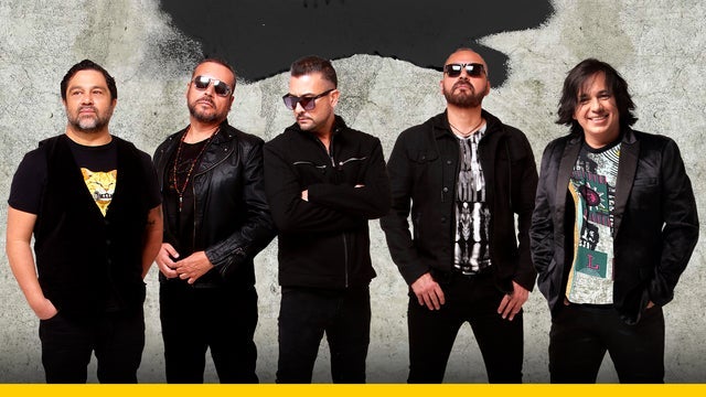 Elefante 30 Years Tour