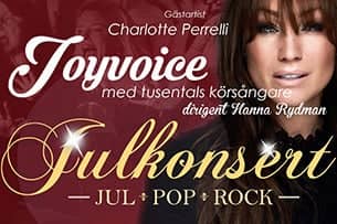 Joyvoice