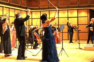 SOARING STRINGS / Dvorak's Love Letter