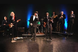 Wild Night - Tribute to Van Morrison