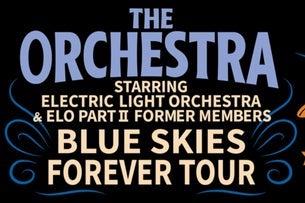 The Orchestra