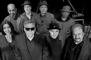 Tupelo Honey: A Van Morrison Celebration