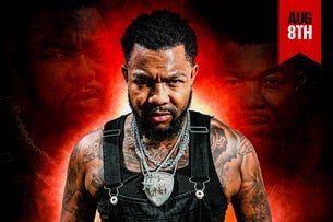 Gorilla Zoe