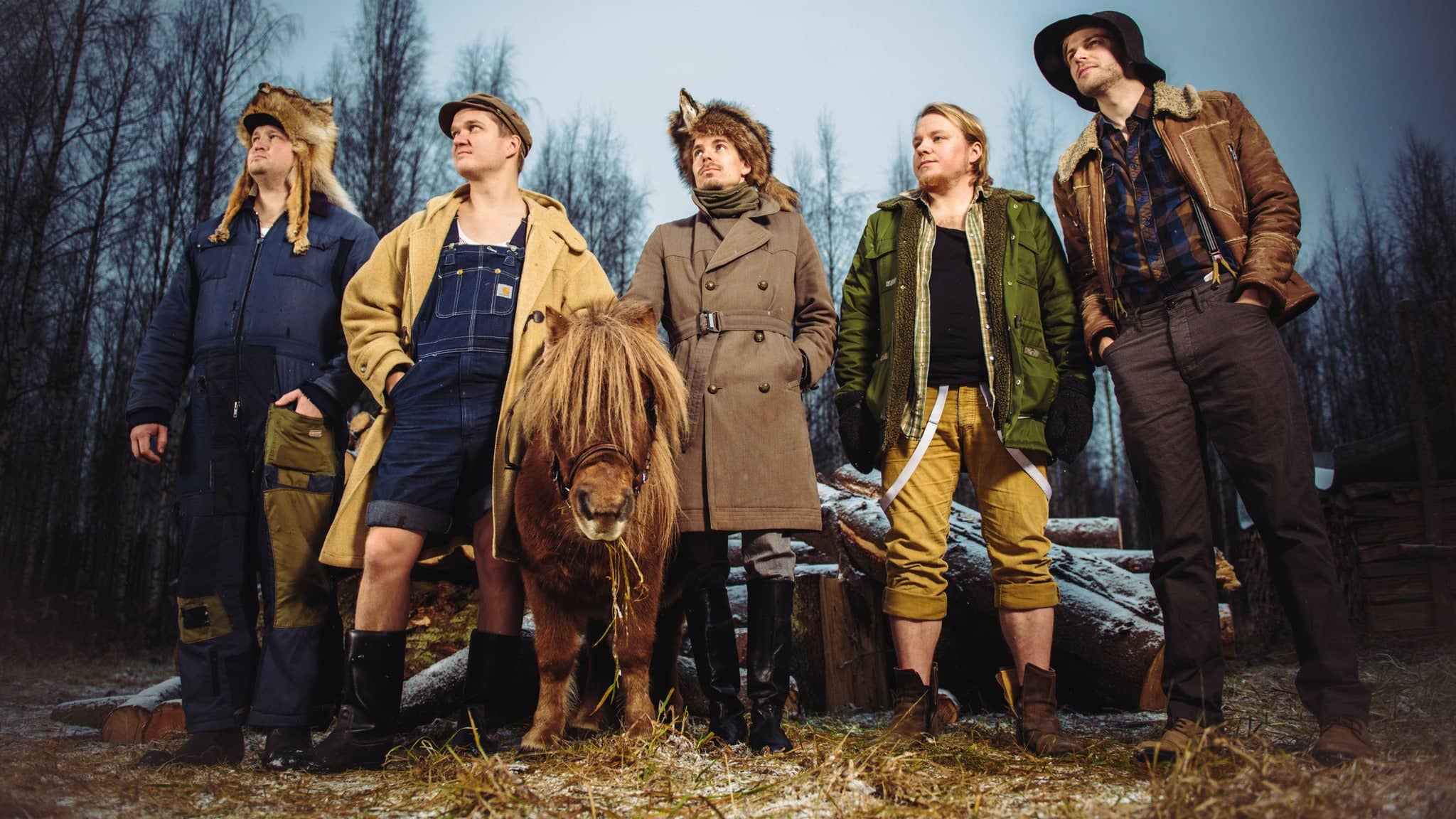 Steve 'n' Seagulls